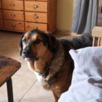 Anton5